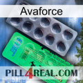 Avaforce new04